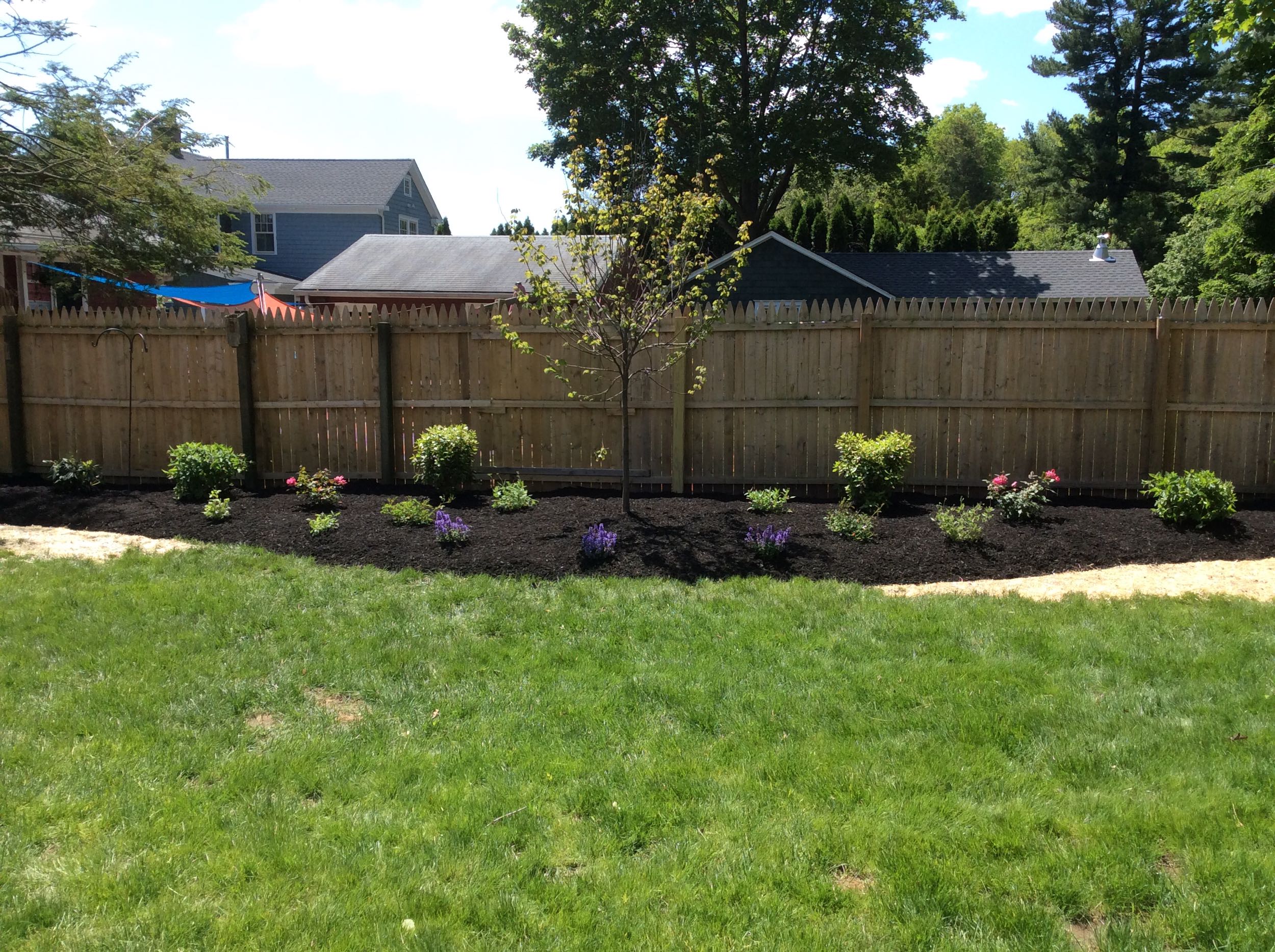 Comprehensive Lawn Care Program & Thoughtfully Selected Landscape Plantings